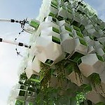 Bio-based building design