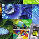 Biomimicry is a tool