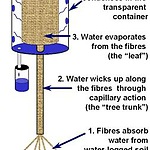 solar water plant model 1