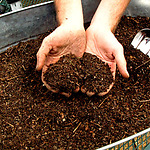 Composting as food recycling