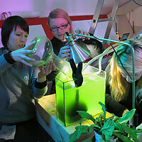 Biomodd Workshop Maribor, Slovenia, 2010. The algae culture that was used in the Biomodd Workshop in Sint-Niklaas was being re-used here, as a living coolant liquid for the server of the network.