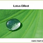 Lotus effect
