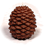 Smart insulation using pinecones